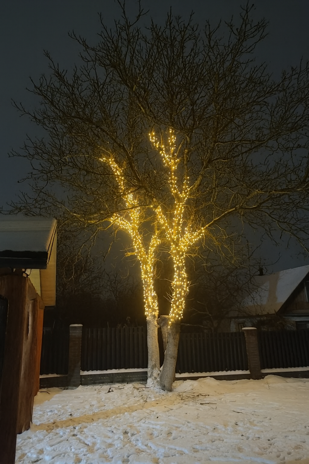 Рождественское оформление деревьев